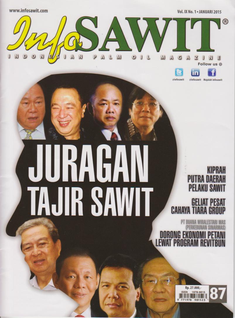 Cover per_IS_-V9_N1.jpg.jpg