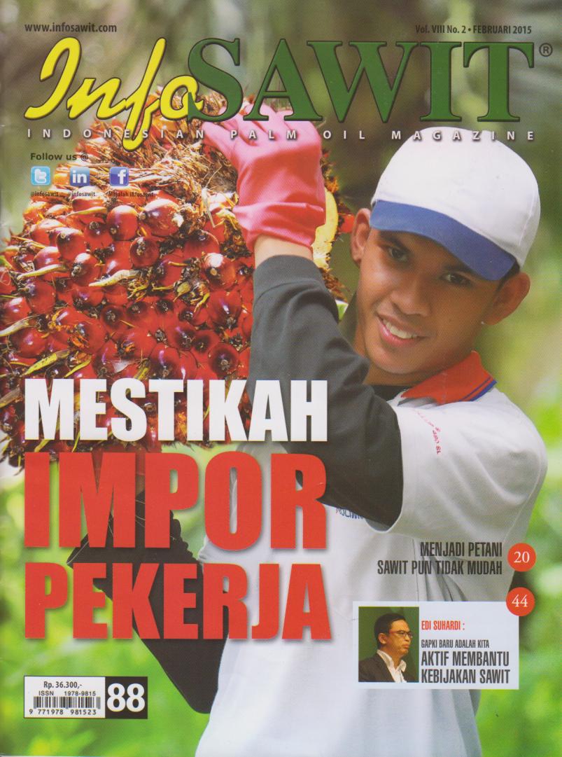 Cover per_IS_-_V8_N2.jpg.jpg
