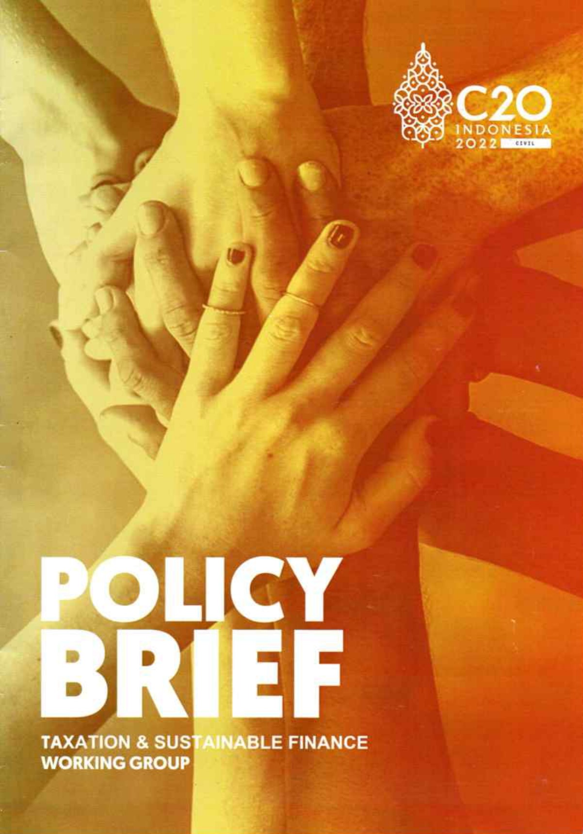 Cover per_Policy_Brief_Taxation_&_Sustainable_Finance_Working_Group.jpg.jpg